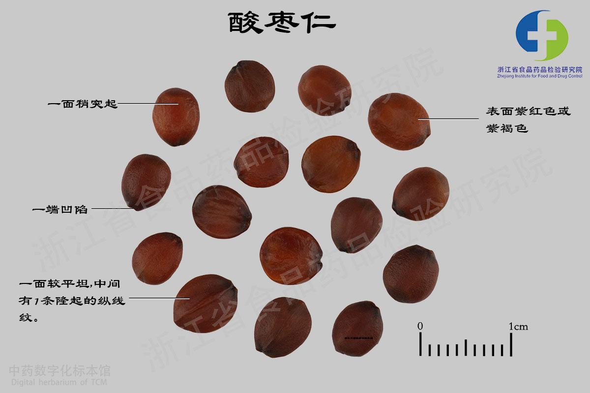 酸枣仁 标本影像